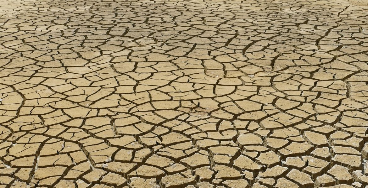 découvrez les enjeux du changement climatique, ses impacts sur notre planète et les solutions pour un avenir durable. informez-vous sur les actions nécessaires pour lutter contre ce fléau mondial.
