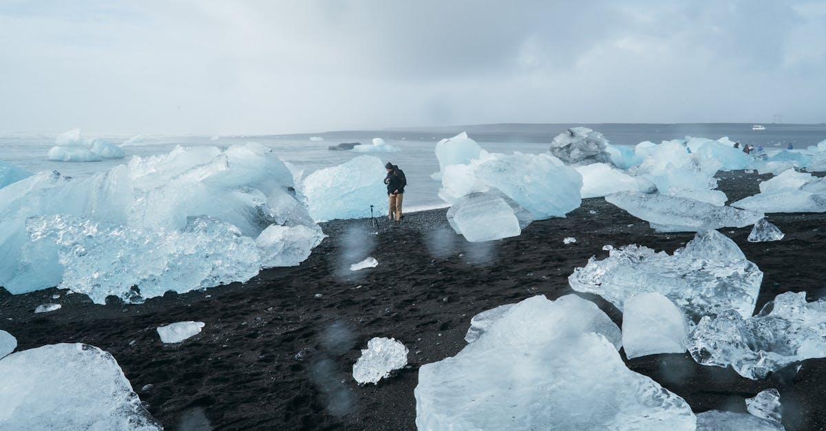 découvrez les enjeux du changement climatique, ses causes, ses impacts sur notre planète et les solutions pour un avenir durable. engagez-vous dans la lutte pour préserver notre environnement.