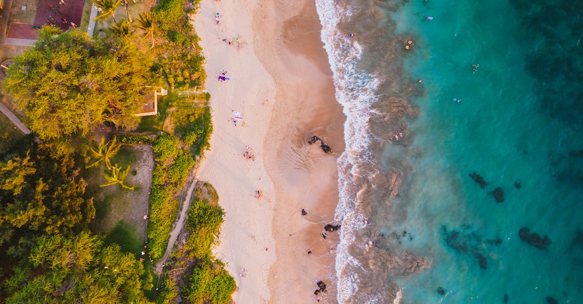 découvrez le phénomène des îlots de chaleur, ses causes et ses impacts sur l'environnement urbain. apprenez des solutions pour atténuer ce phénomène et améliorer la qualité de vie dans nos villes.