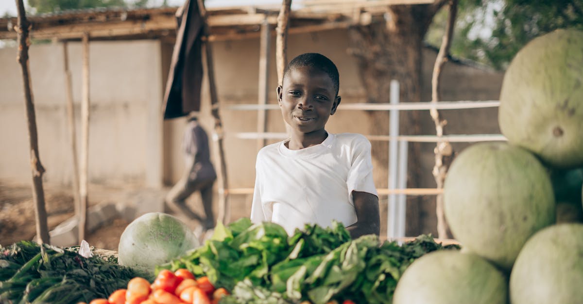 découvrez comment l'économie inclusive favorise l'égalité des chances et l'accès aux ressources pour tous, en intégrant divers groupes sociaux et en promouvant un développement durable et équitable. explorez les initiatives et les solutions qui transforment les communautés et créent un avenir meilleur.