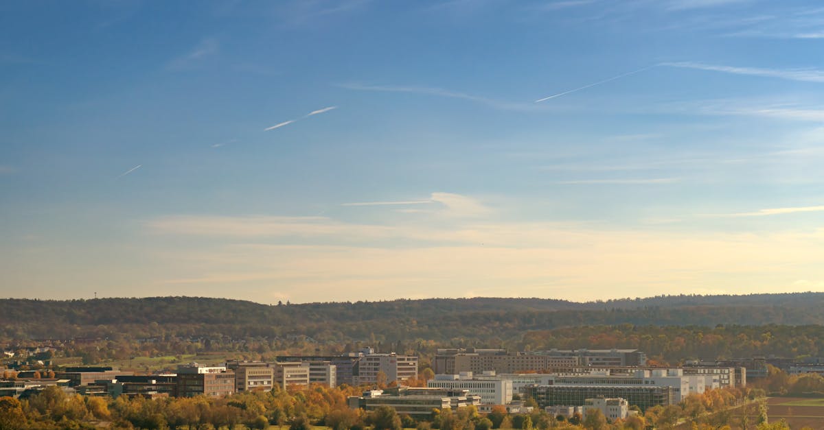 découvrez comment les entreprises orientées vers une mission transforment le monde des affaires. explorez leur impact positif sur la société, l'environnement et l'économie, tout en s'engageant à fournir des solutions durables et éthiques.