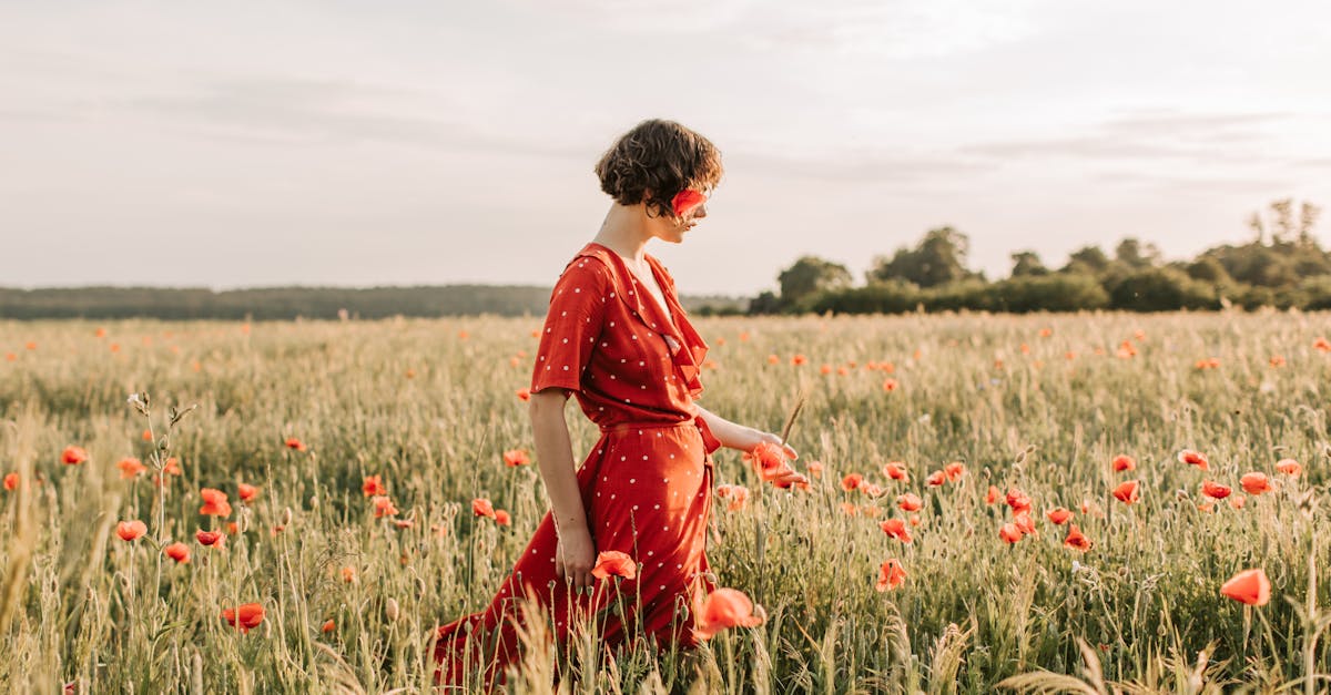 découvrez comment atteindre la prospérité grâce à des stratégies efficaces, des conseils pratiques et des ressources inspirantes. transformez votre vie financière et personnelle pour un avenir radieux.