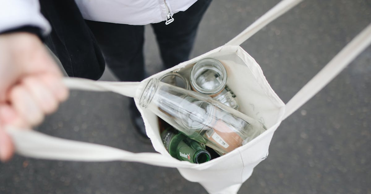 découvrez les enjeux de la durabilité et les pratiques écoresponsables pour un avenir meilleur. explorez comment réduire votre impact environnemental, encourager l'innovation durable et contribuer à la préservation de notre planète.