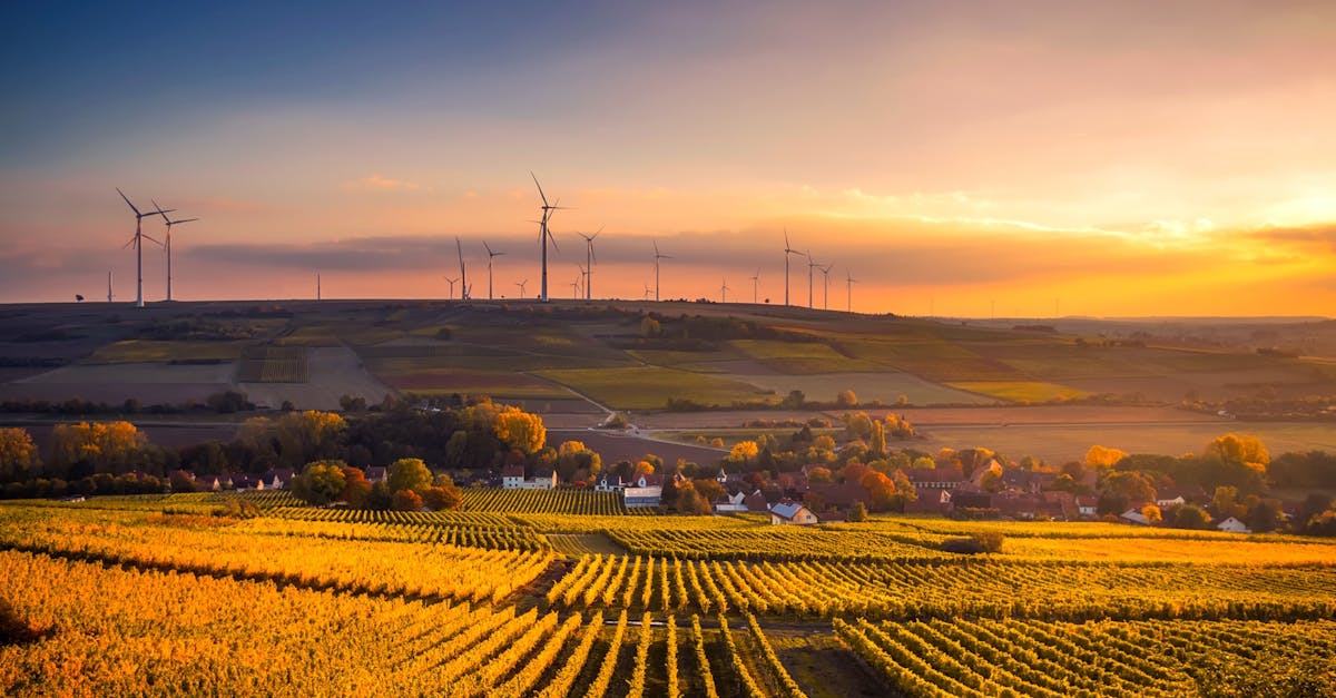 découvrez les enjeux et les pratiques de la durabilité, un pilier essentiel pour un avenir respectueux de l'environnement. explorez les innovations et les solutions qui favorisent un développement durable et harmonieux.