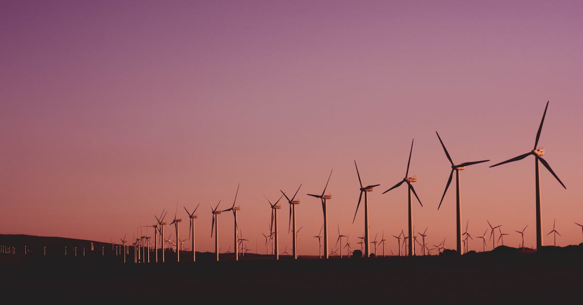 découvrez l'importance de la durabilité dans un monde en évolution. explorez des initiatives innovantes pour un avenir écologique, des pratiques responsables aux stratégies de consommation consciente. rejoignez le mouvement pour un mode de vie durable et profitez d'une planète saine pour les générations futures.