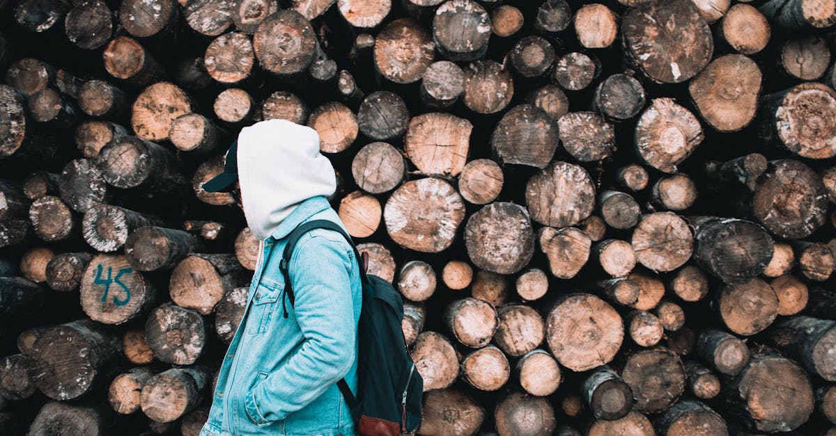 découvrez comment la transition vers une économie durable transforme nos sociétés, favorise l'innovation et protège notre planète. explorez les stratégies et les initiatives qui soutiennent un avenir économique respectueux de l'environnement.
