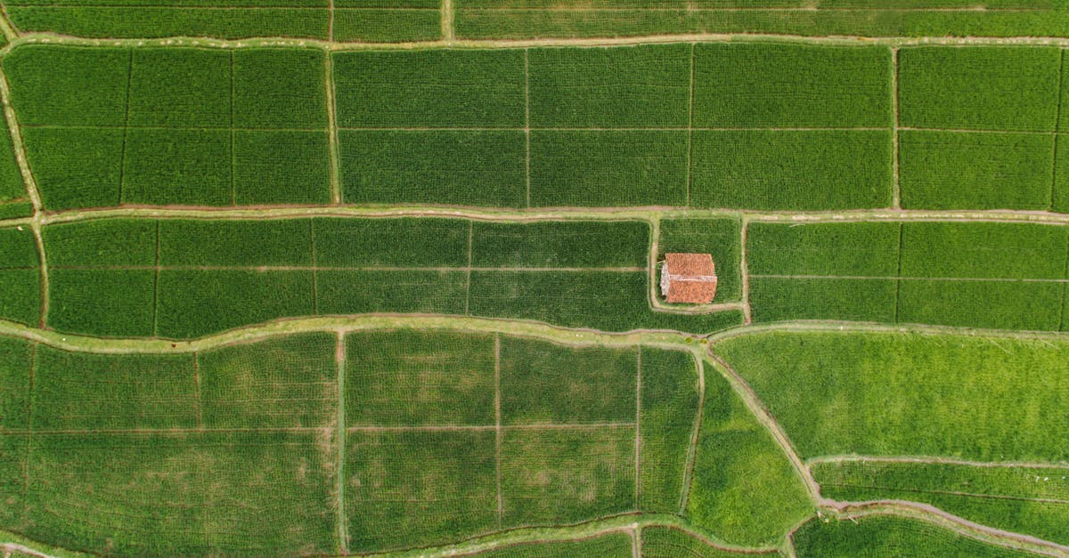 découvrez des voies durables pour un avenir respectueux de l'environnement. explorez des stratégies innovantes et des pratiques écologiques qui favorisent un développement durable tout en préservant notre planète pour les générations futures.