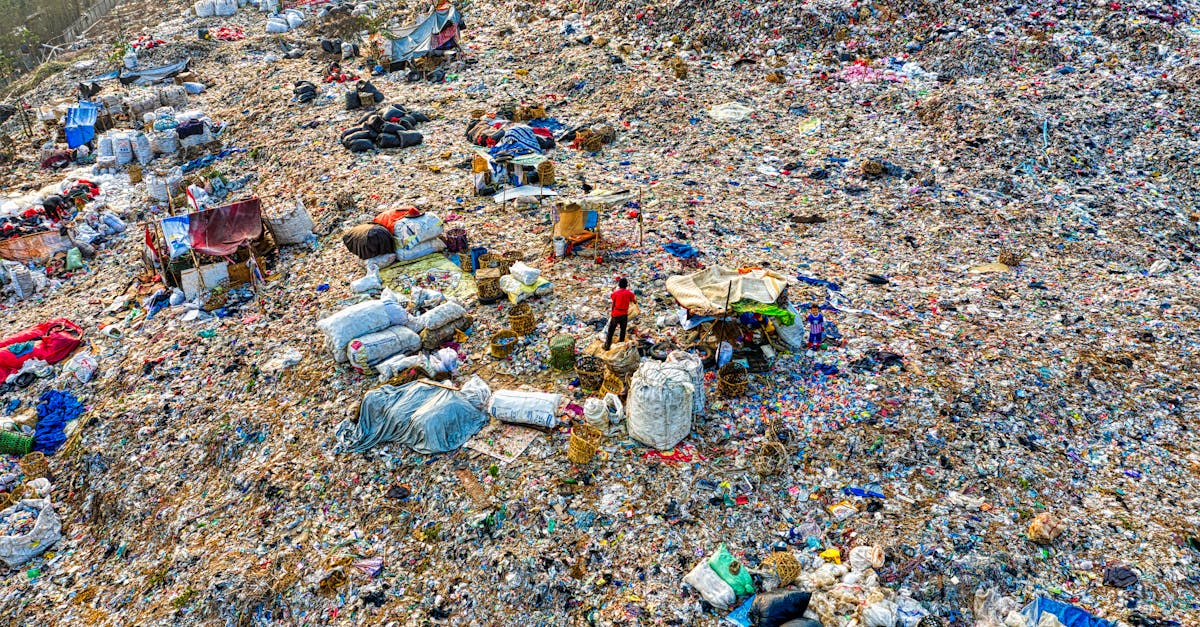 découvrez comment la valorisation des déchets transforme les matériaux indésirables en ressources précieuses, favorisant le développement durable et l'économie circulaire. apprenez les différentes méthodes et technologies utilisées pour optimiser la réutilisation et le recyclage des déchets.