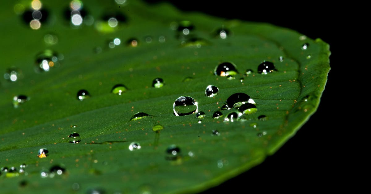 découvrez des stratégies efficaces pour réduire votre consommation d'eau et préserver cette ressource précieuse. apprenez des astuces simples pour économiser l'eau à la maison, dans le jardin et au quotidien, tout en contribuant à la protection de l'environnement.