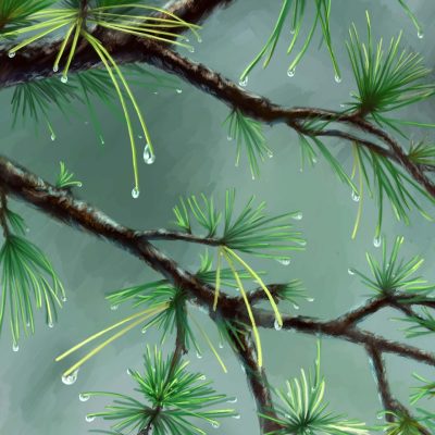 découvrez l'impact écologique des activités humaines sur l'environnement, les enjeux de la pollution, de la biodiversité et explorez des solutions pour un avenir durable.