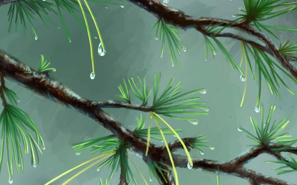 découvrez l'impact écologique des activités humaines sur l'environnement, les enjeux de la pollution, de la biodiversité et explorez des solutions pour un avenir durable.