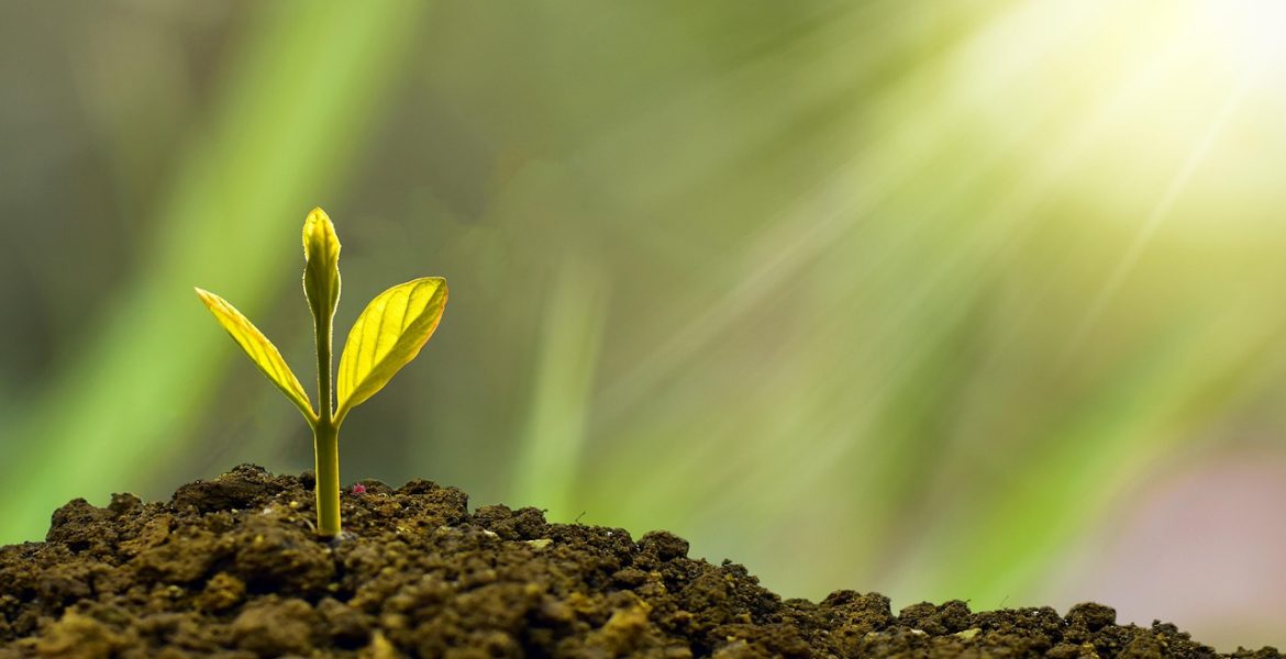 découvrez les clés de la sustainability : pratiques écologiques, innovations durables et conseils pour adopter un mode de vie respectueux de l’environnement. agissez dès aujourd’hui pour un avenir meilleur.