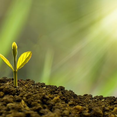 découvrez les clés de la sustainability : pratiques écologiques, innovations durables et conseils pour adopter un mode de vie respectueux de l’environnement. agissez dès aujourd’hui pour un avenir meilleur.