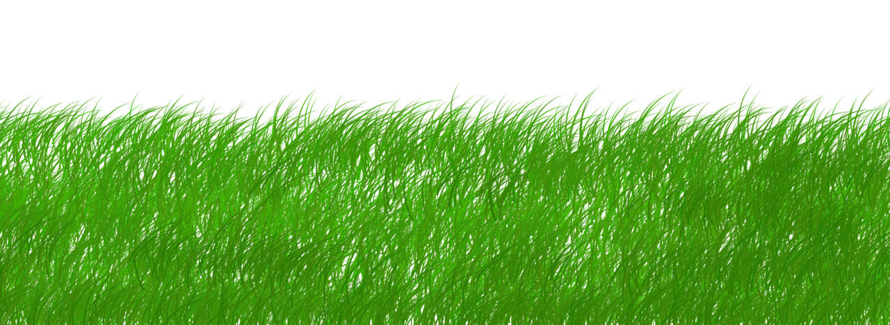 découvrez les principes de la sustainability : adoptez des pratiques responsables pour préserver l’environnement, améliorer la qualité de vie et assurer un avenir durable.