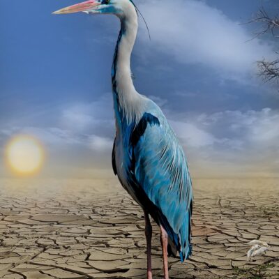 découvrez les causes, conséquences et solutions face au changement climatique. informez-vous sur l'impact environnemental, les actions à entreprendre et les actualités concernant la lutte contre le réchauffement de la planète.
