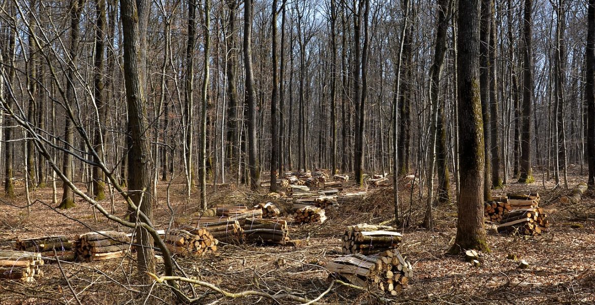 découvrez comment l'économie circulaire révolutionne la gestion des ressources en favorisant le recyclage, la réutilisation et la durabilité pour un avenir plus respectueux de l'environnement.