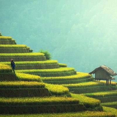 découvrez comment le sport durable favorise la préservation de l’environnement, l’éthique et la responsabilité sociale, tout en inspirant une pratique sportive écoresponsable.