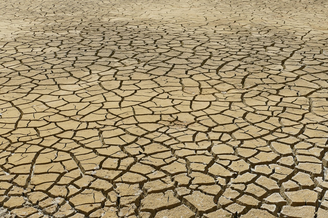 découvrez les causes, conséquences et solutions du changement climatique. informez-vous sur les impacts environnementaux et les actions à adopter pour protéger notre planète.