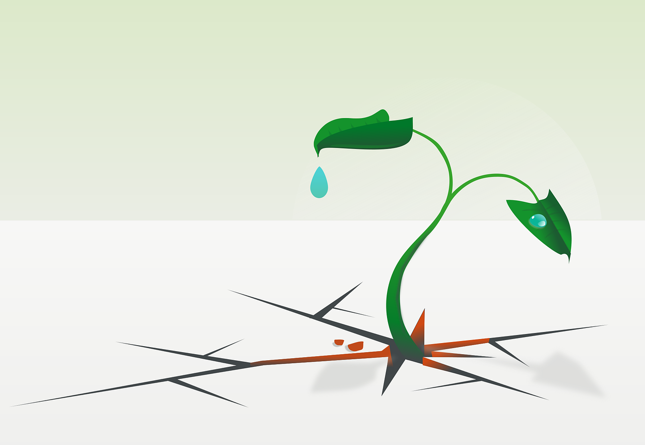 découvrez comment renforcer la résilience climatique face aux changements environnementaux : stratégies, solutions et initiatives pour protéger notre avenir.