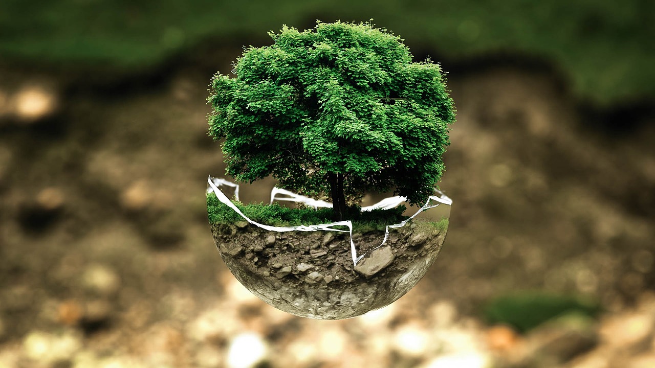 découvrez ce qu'est l'empreinte environnementale : définition, impact sur la planète, méthodes de calcul et conseils pour réduire son impact au quotidien.