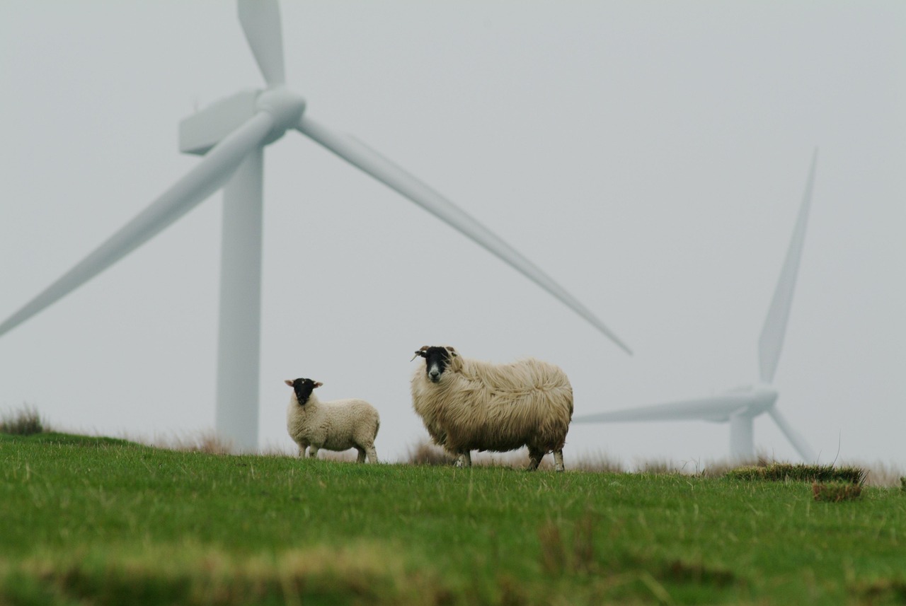 découvrez comment le sustainability reporting permet aux entreprises de mesurer, suivre et communiquer leurs engagements en matière de développement durable, pour une gestion plus responsable et transparente.
