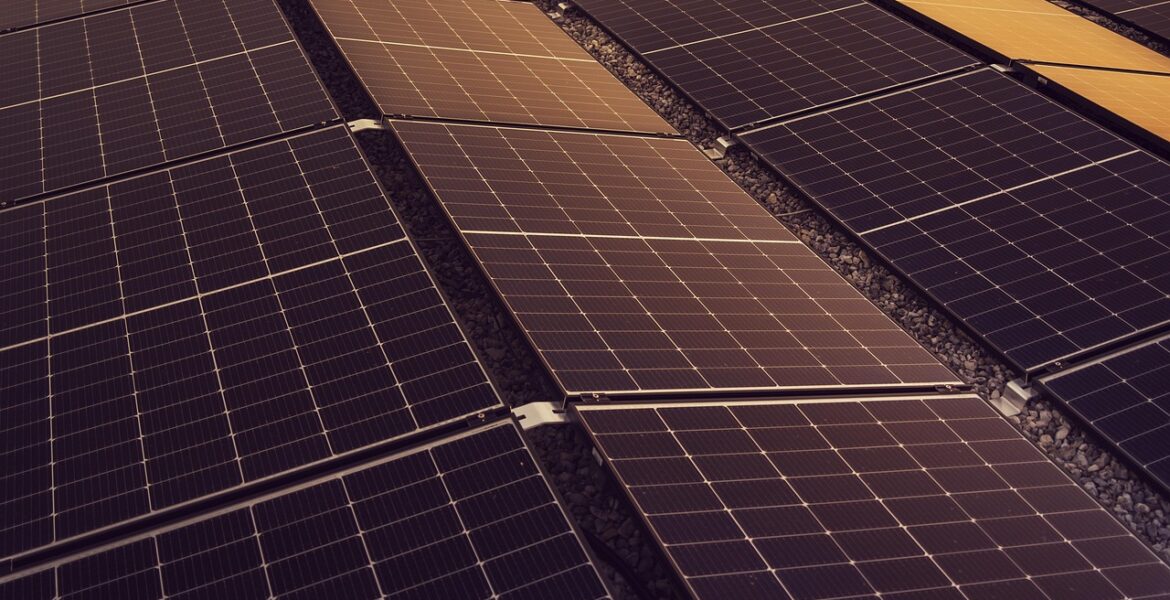 découvrez comment adopter des pratiques durables pour préserver l'environnement, améliorer la qualité de vie et favoriser une croissance responsable. apprenez tout sur la sustainability et ses enjeux clés.
