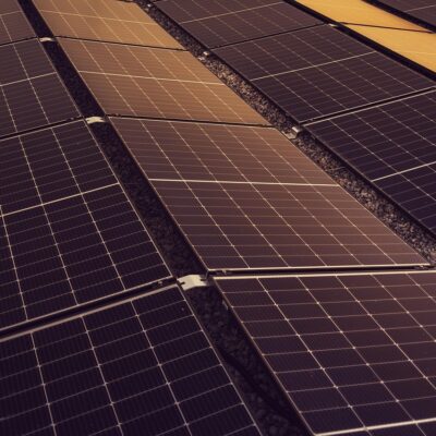 découvrez comment adopter des pratiques durables pour préserver l'environnement, améliorer la qualité de vie et favoriser une croissance responsable. apprenez tout sur la sustainability et ses enjeux clés.