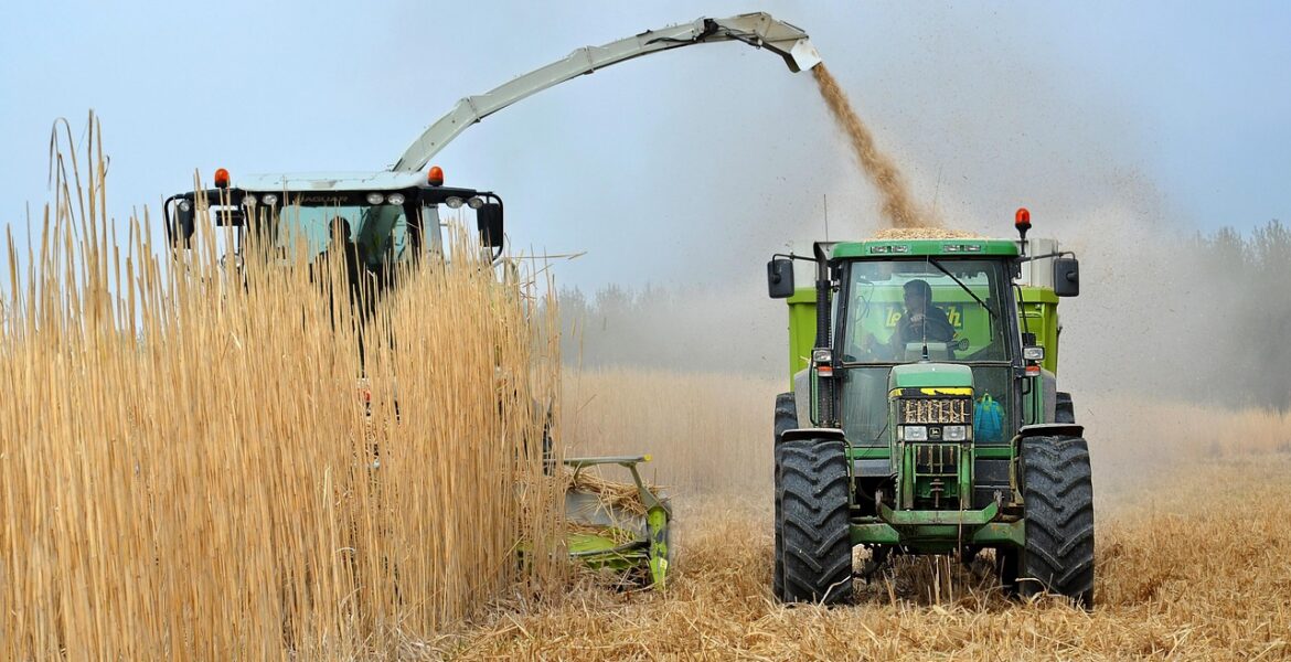 découvrez tout ce qu’il faut savoir sur les biocarburants : types, avantages, impacts environnementaux et leur rôle dans la transition énergétique vers un avenir plus durable.