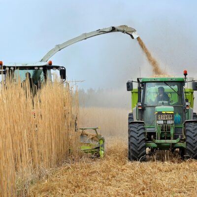 découvrez tout ce qu’il faut savoir sur les biocarburants : types, avantages, impacts environnementaux et leur rôle dans la transition énergétique vers un avenir plus durable.