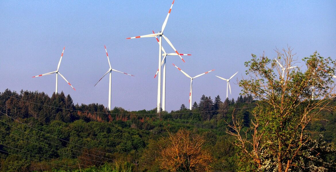 découvrez comment la green transition favorise une économie durable, réduit l’empreinte carbone et encourage des modes de vie respectueux de l’environnement. explorez les solutions pour un avenir plus vert.