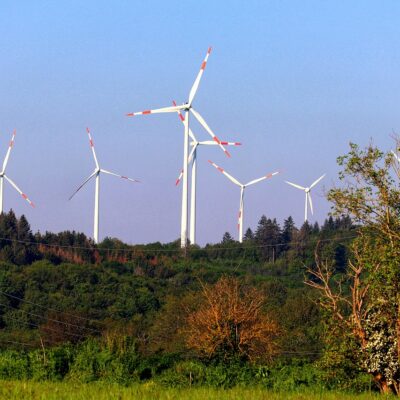 découvrez comment la green transition favorise une économie durable, réduit l’empreinte carbone et encourage des modes de vie respectueux de l’environnement. explorez les solutions pour un avenir plus vert.