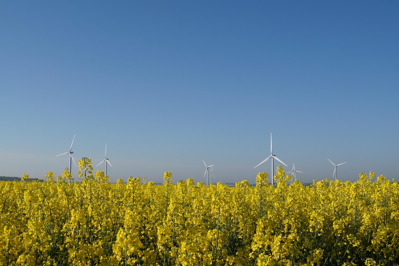 découvrez les biocarburants : leurs origines, avantages écologiques, modes de production, et leur rôle clé dans la transition énergétique face aux carburants fossiles.