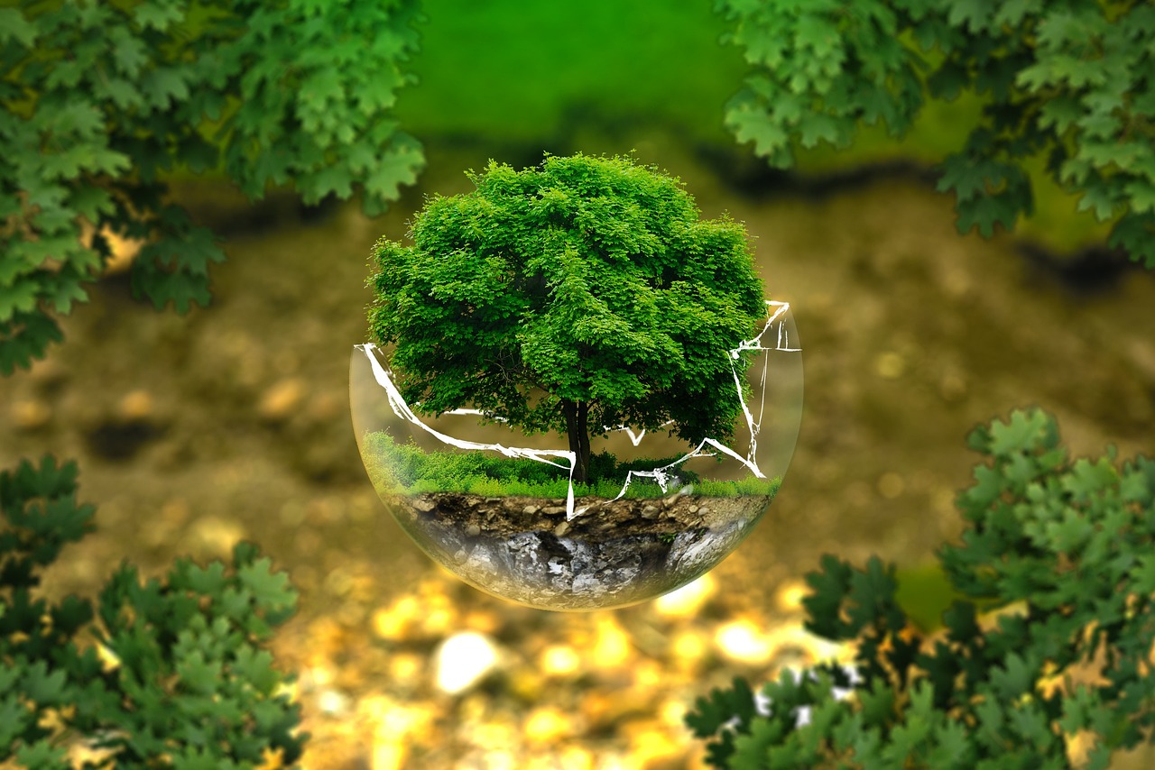 découvrez l'impact environnemental et les enjeux écologiques liés à nos activités quotidiennes, ainsi que des solutions pour réduire notre empreinte sur la planète.