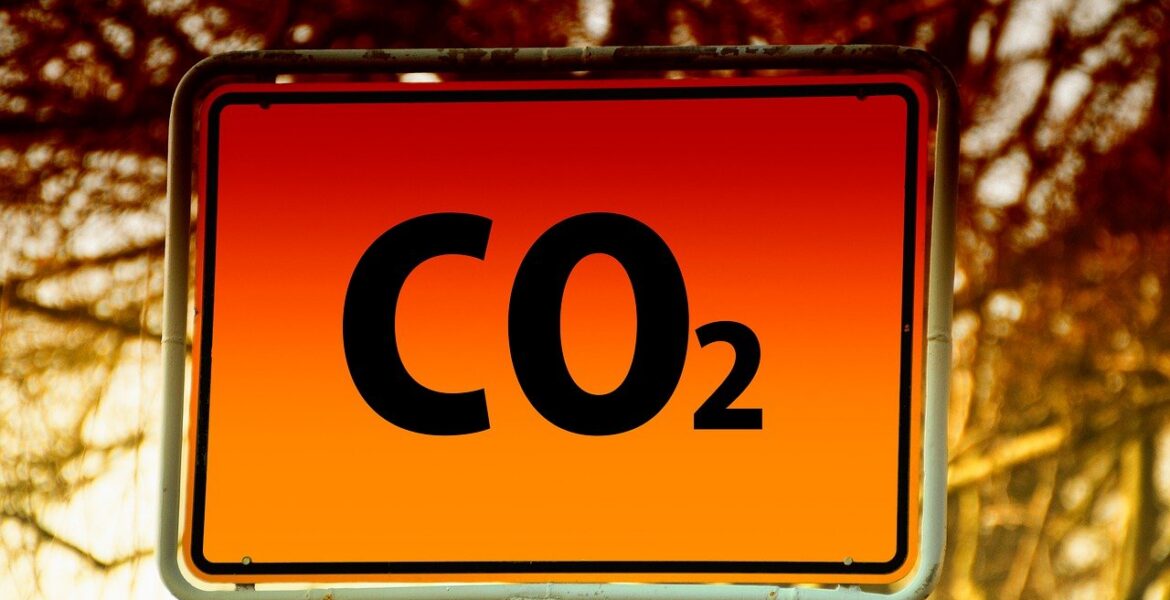 découvrez les enjeux et solutions de la transition écologique pour un avenir durable et respectueux de l'environnement.