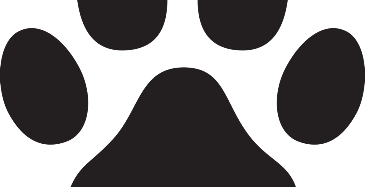 découvrez l'empreinte blanche, symbole de pureté et d'impact minimal sur l'environnement, pour un avenir plus durable.