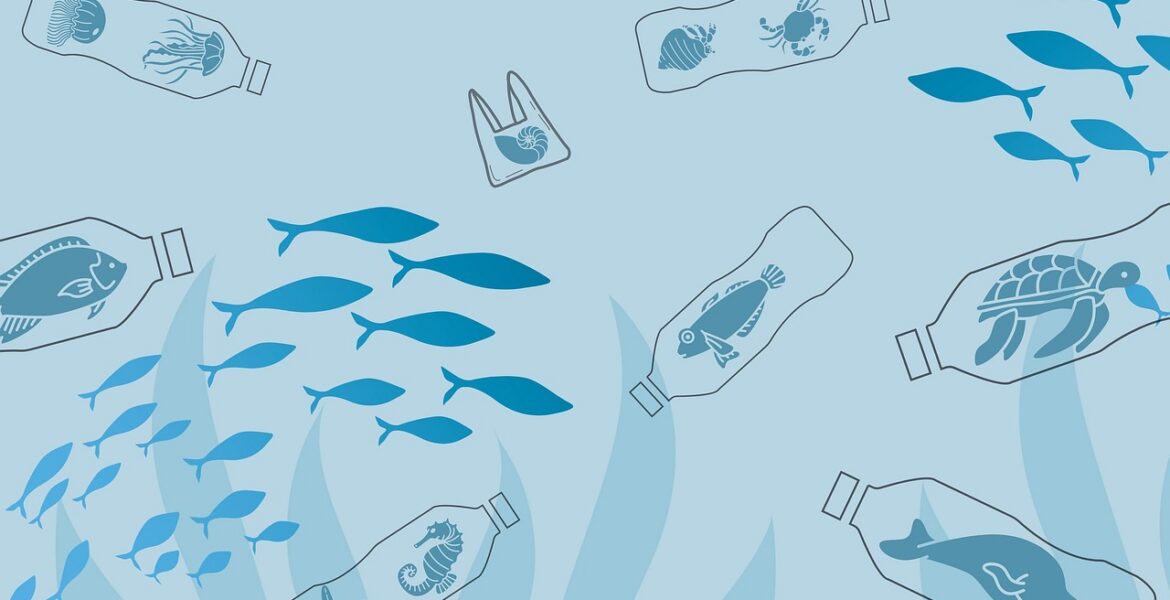 découvrez nos conseils pratiques pour débuter en zéro déchet et adopter un mode de vie plus durable au quotidien.