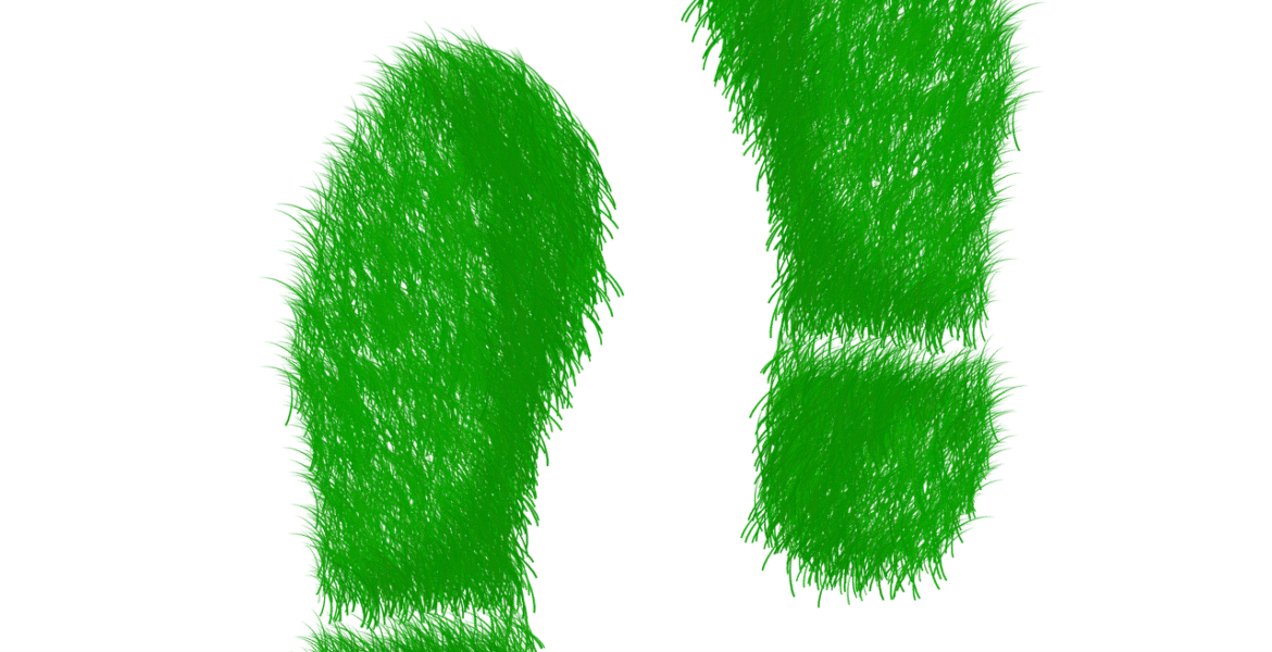 découvrez l'empreinte écologique : mesurez l'impact de vos activités sur la planète et explorez des solutions pour un mode de vie durable et respectueux de l'environnement.