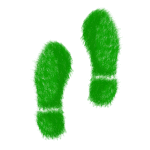 découvrez l'empreinte écologique : mesurez l'impact de vos activités sur la planète et explorez des solutions pour un mode de vie durable et respectueux de l'environnement.