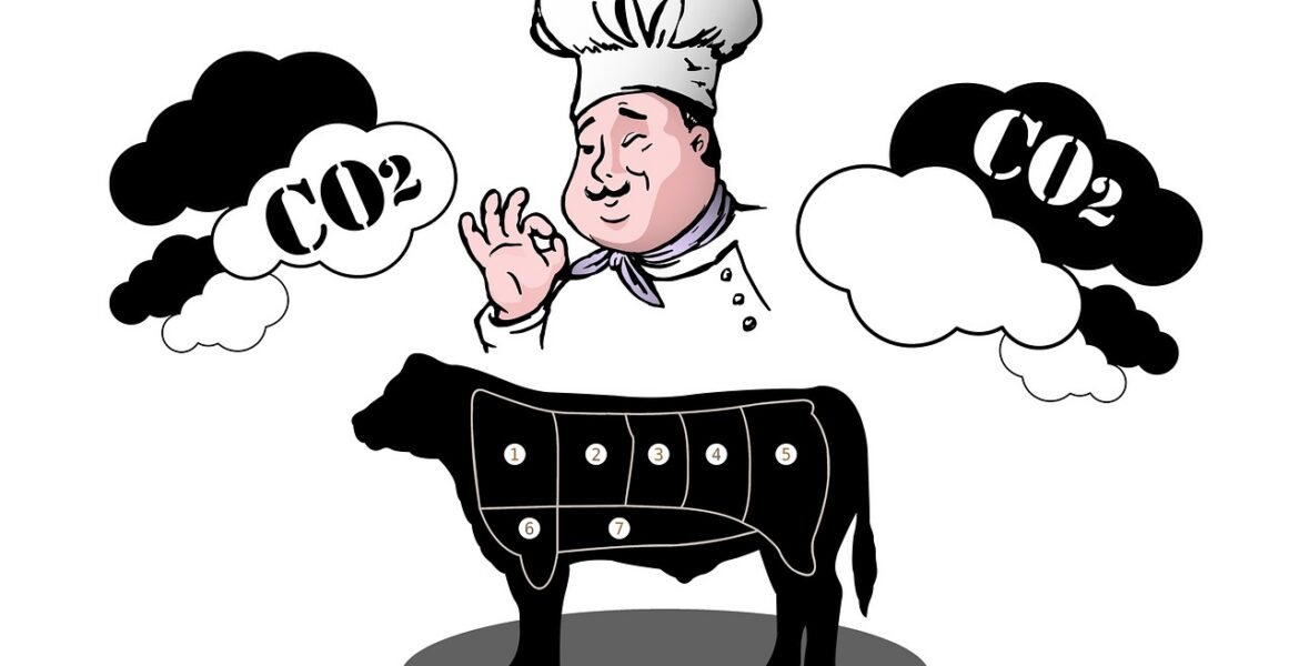 découvrez ce qu'est l'empreinte carbone, comment la mesurer et des astuces pour la réduire afin de protéger l'environnement.