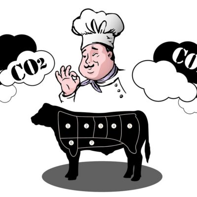 découvrez ce qu'est l'empreinte carbone, comment la mesurer et des astuces pour la réduire afin de protéger l'environnement.