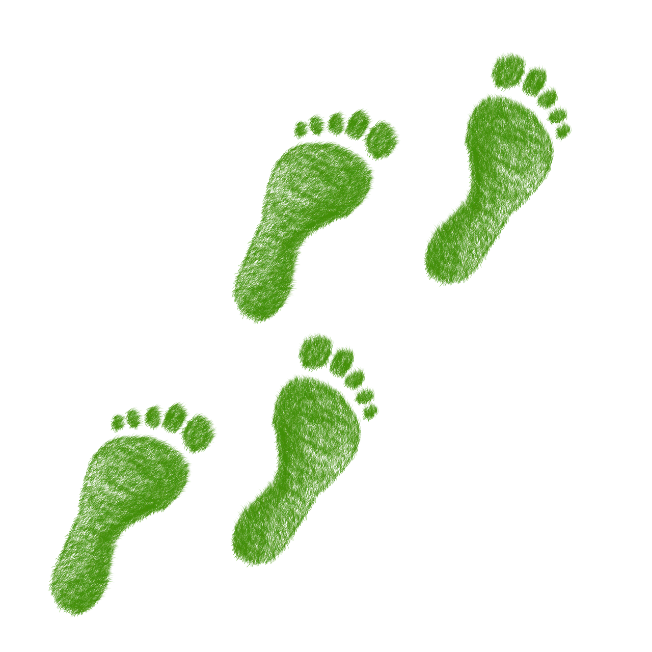 découvrez l'empreinte écologique : mesurez l'impact de votre mode de vie sur la planète et apprenez comment réduire votre consommation pour un avenir durable.