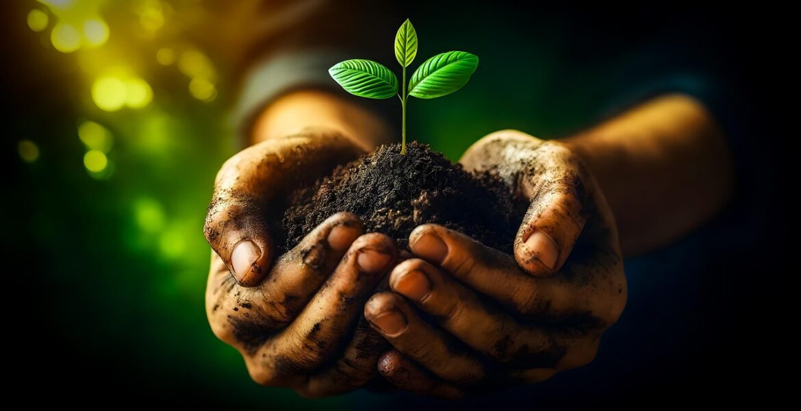 explorez les enjeux et pratiques de la durabilité pour un avenir respectueux de l'environnement et des ressources naturelles.