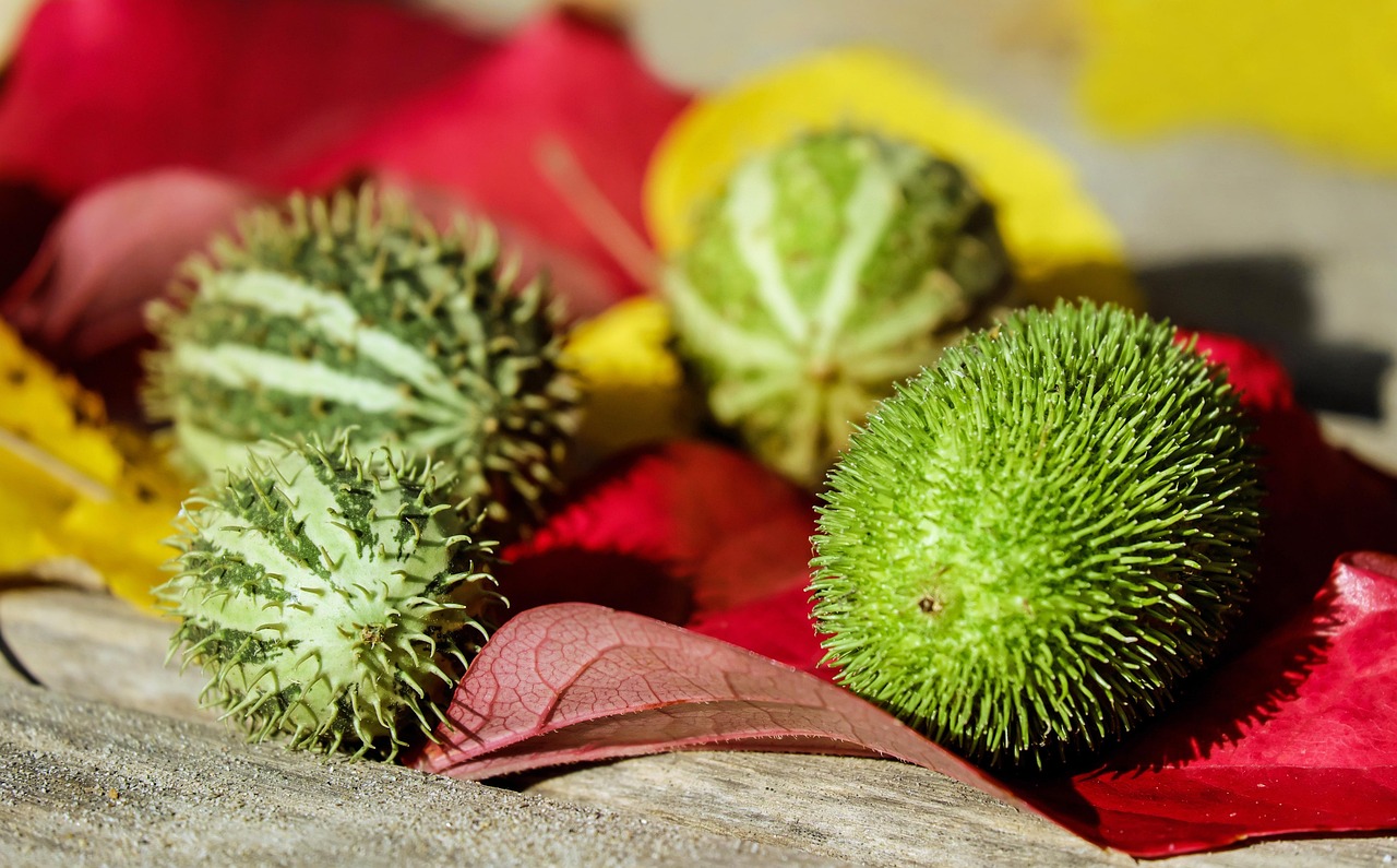 découvrez comment adopter une consommation durable pour réduire votre impact environnemental et soutenir un avenir responsable.