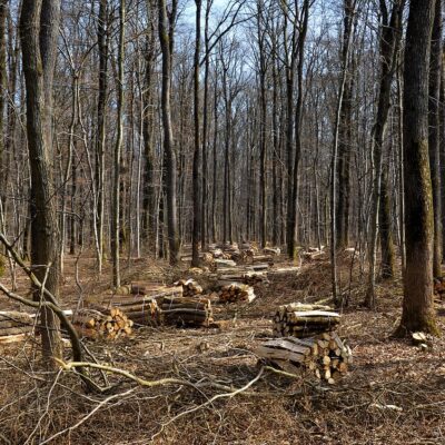 découvrez les principes et les avantages de l'économie circulaire pour un développement durable et une réduction des déchets.