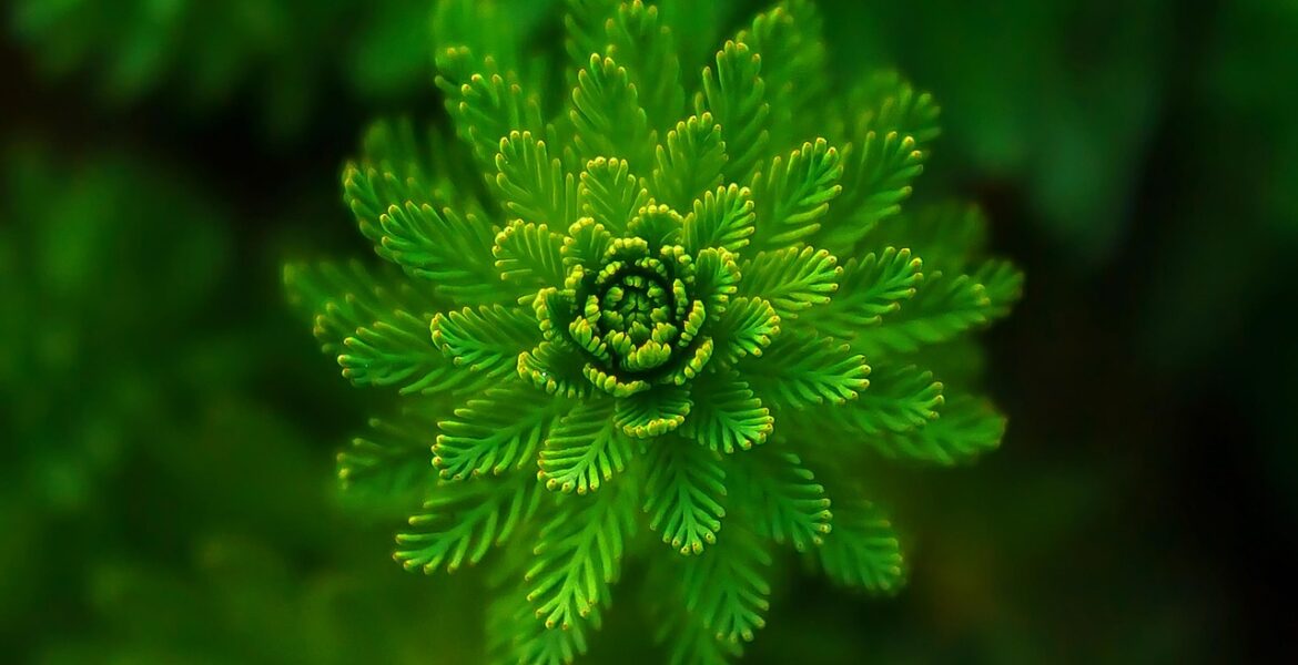 découvrez des stratégies de publicité écologiques innovantes pour promouvoir votre marque tout en respectant l'environnement.