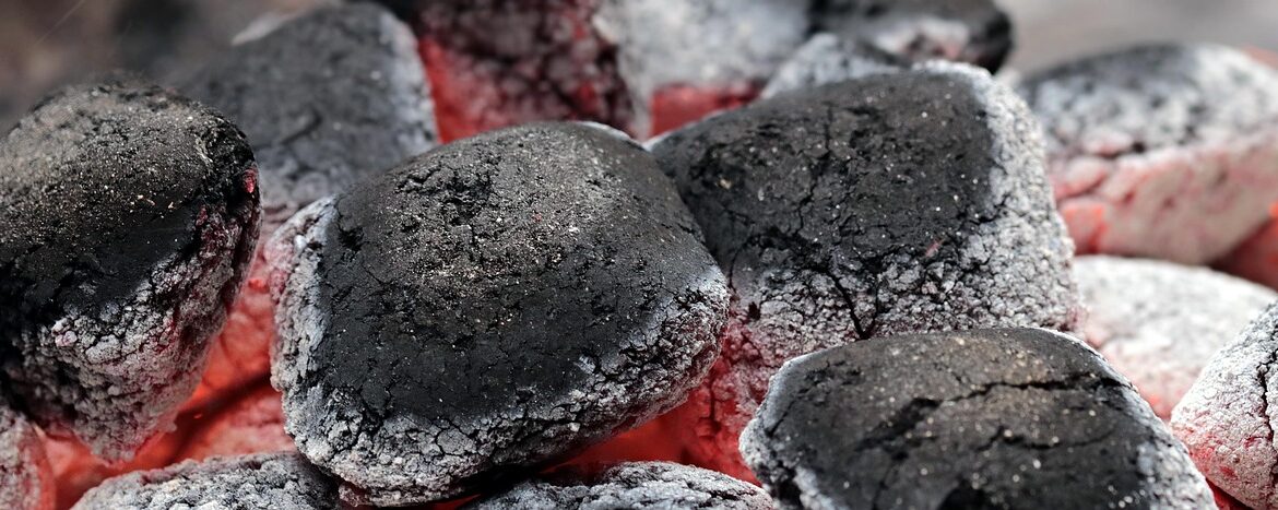 découvrez notre stratégie bas carbone pour réduire l'empreinte écologique, favoriser le développement durable et lutter efficacement contre le changement climatique.