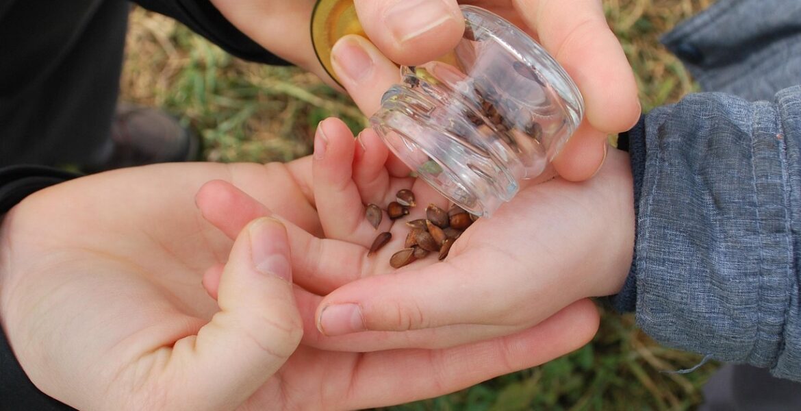 découvrez les principes de la permaculture urbaine pour cultiver un jardin écologique et durable en milieu citadin. apprenez à aménager, entretenir et maximiser votre espace vert en ville.