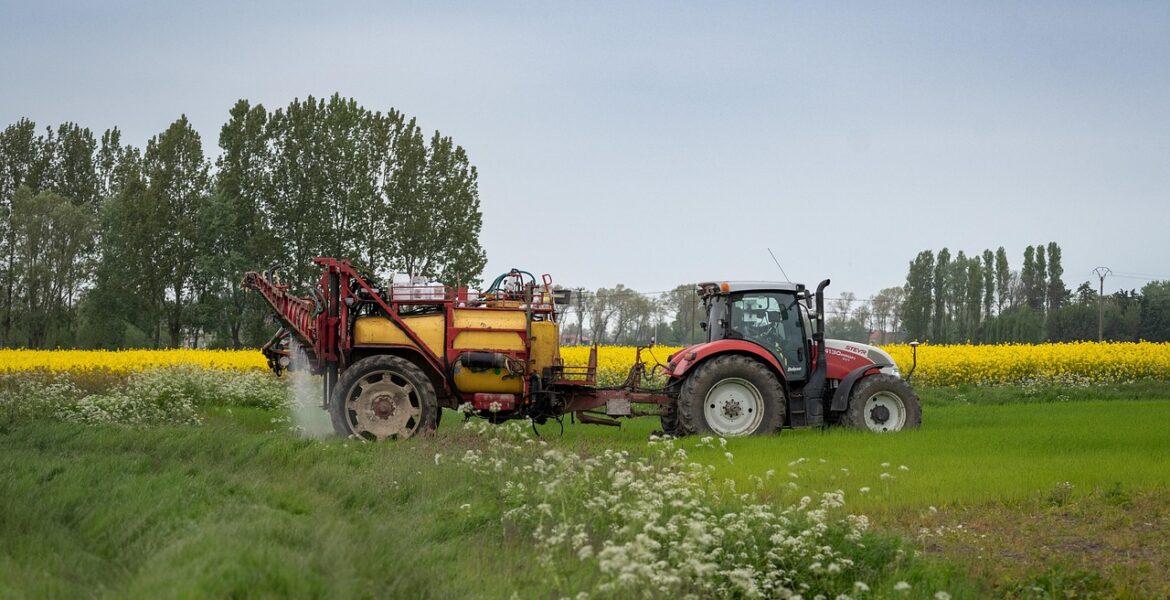 découvrez les dernières innovations et pratiques durables en agriculture pour optimiser la production tout en préservant l'environnement.