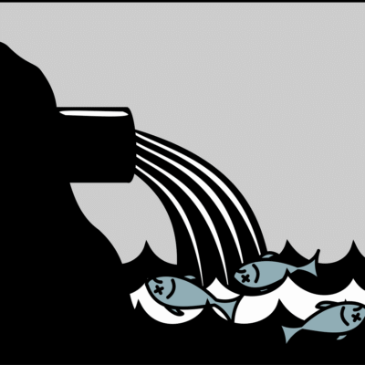 découvrez l'impact écologique et les enjeux environnementaux liés à nos activités, ainsi que des solutions pour préserver la planète.
