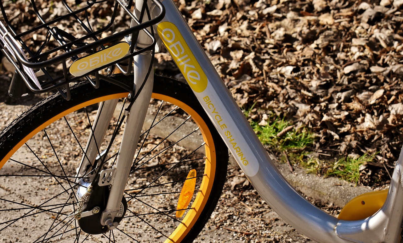 location de vélos électriques : découvrez la liberté de pédaler sans effort avec nos vélos électriques modernes et faciles à utiliser. réservez dès maintenant pour explorer la ville en toute simplicité.